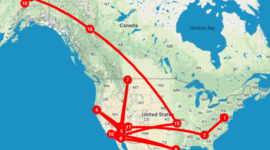 Timeline: Into the wild