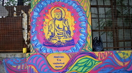 Timeline: variabilidad niña- niño