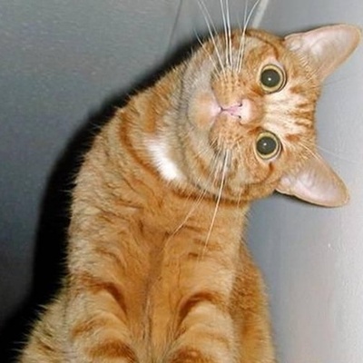 Timeline: Моя лента времени