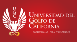 Timeline: Historia del internet y la web