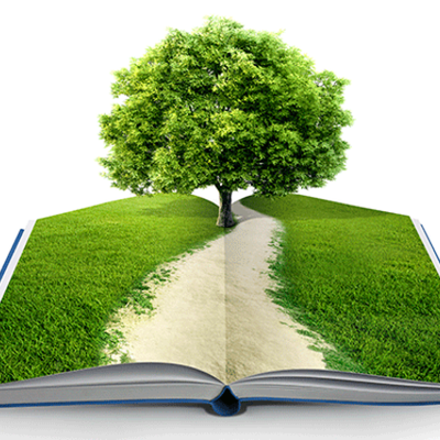 Timeline: Educación ambiental