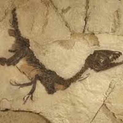 Timeline: Le età della storia