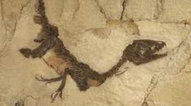 Timeline: Le età della storia