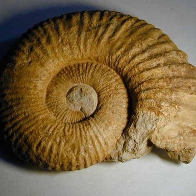 Timeline: Le età della storia