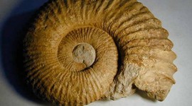 Timeline: Le età della storia