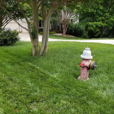 Timeline: Test Timeline