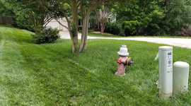 Timeline: Test Timeline