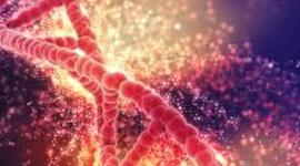 Timeline: Investigación genética. Hechos relevantes