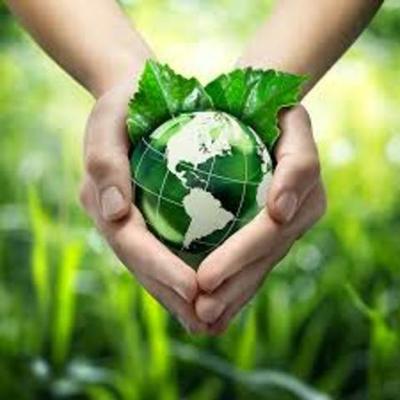 Timeline: Evolución de la Educación Ambiental