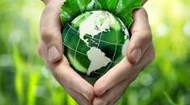 Timeline: Evolución de la Educación Ambiental