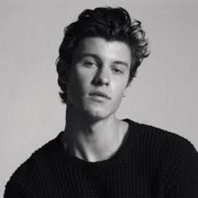Timeline: shawn mendes