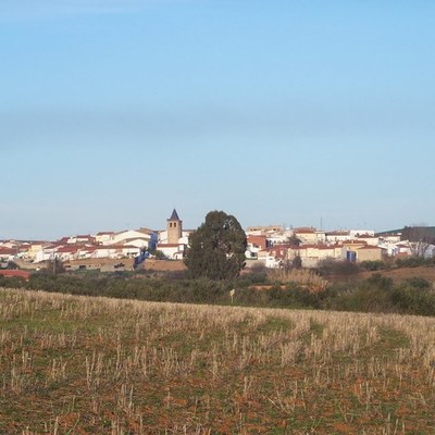 Timeline: Don Álvaro