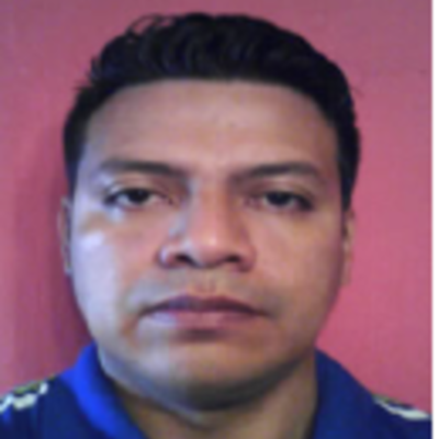 Timeline: estudio academica