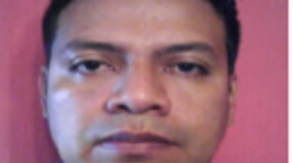 Timeline: estudio academica