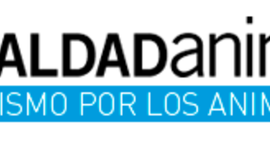 Timeline: Igualdad Animal