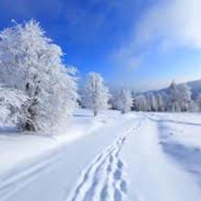 Timeline: Времена года