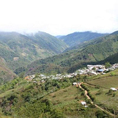Timeline: Línea de tiempo - De la coca al cacao: historia de una resistencia