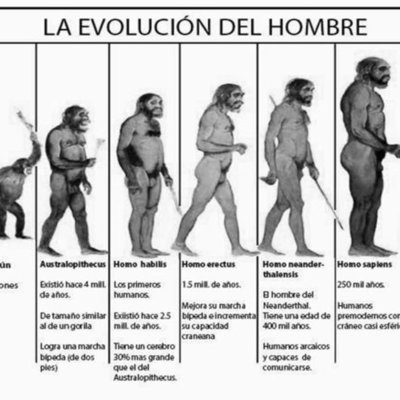 Timeline: La evolución desde el Australopithecus