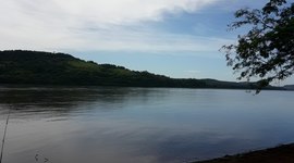 Timeline: Línea del tiempo