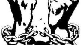 Timeline: Liberalismo