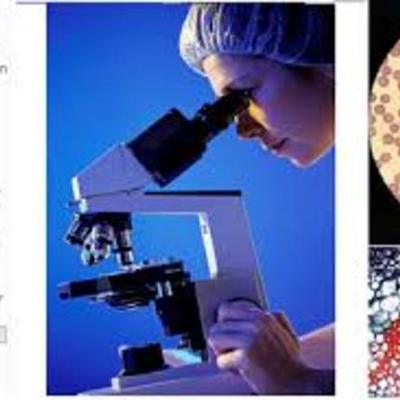 Timeline: Historia de la microscopía. Fuente: Microscopes en Nobel Prize.org; History of Microscopes Zeiss.com; IBM. Scanning Tunneling Microscope.