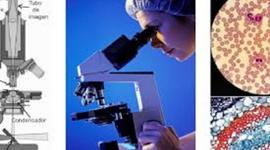 Timeline: Historia de la microscopía. Fuente: Microscopes en Nobel Prize.org; History of Microscopes Zeiss.com; IBM. Scanning Tunneling Microscope.