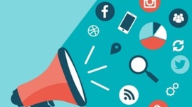 Timeline: Investigación de Mercados