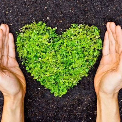 Timeline: Περιβάλλον