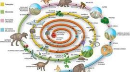 Timeline: ERAS GEOLOGICAS