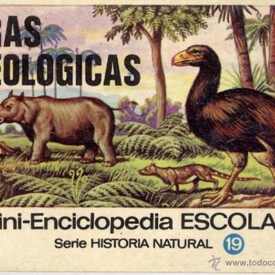 Timeline: Era Geologica