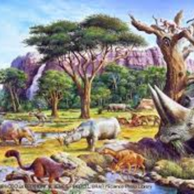 Timeline: ERAS GEOLOGICAS