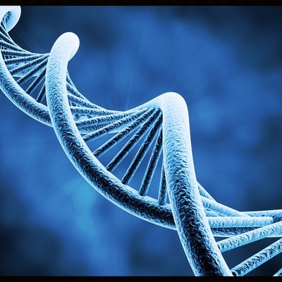 Timeline: la genetica