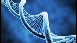 Timeline: la genetica