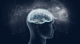 Timeline: Fundamentos fenomenológicos existenciais