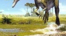 Timeline: ERAS GEOLOGICAS