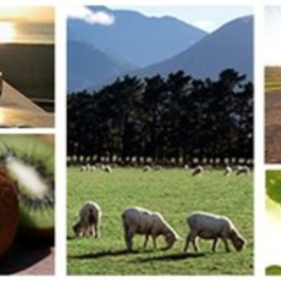 Timeline: Agricultural Projects