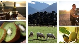 Timeline: Agricultural Projects