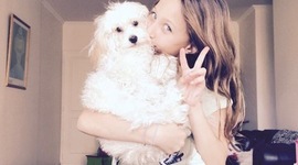 Timeline: mi escolaridad