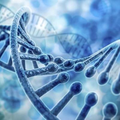 Timeline: Evolución del descubrimiento estructura del ADN