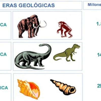 Timeline: Eras geoloicas