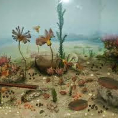 Timeline: Eras Geologicas (JUAN ARIAS)