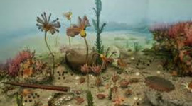 Timeline: Eras Geologicas (JUAN ARIAS)