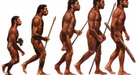 Timeline: Etapas en la línea evolutiva humana