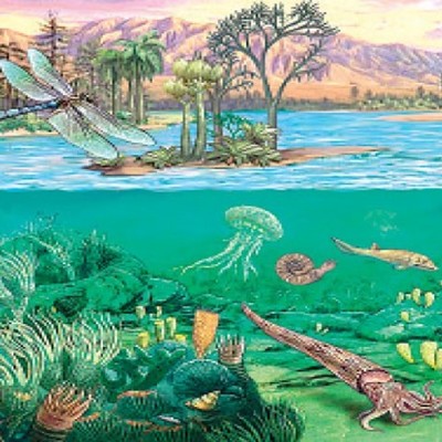 Timeline: Era Paleozoica, Mesozoica y Cenozoica