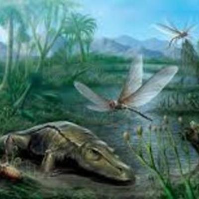 Timeline: Era Geologica