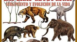 Timeline: Eras geologicas