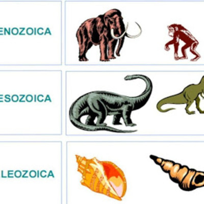 Timeline: Las Eras Geologicas