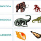 Eras geologicas