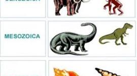 Timeline: Las eras geologicas