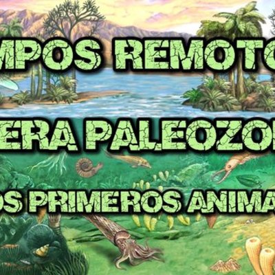 Timeline: La Era Paleozoica